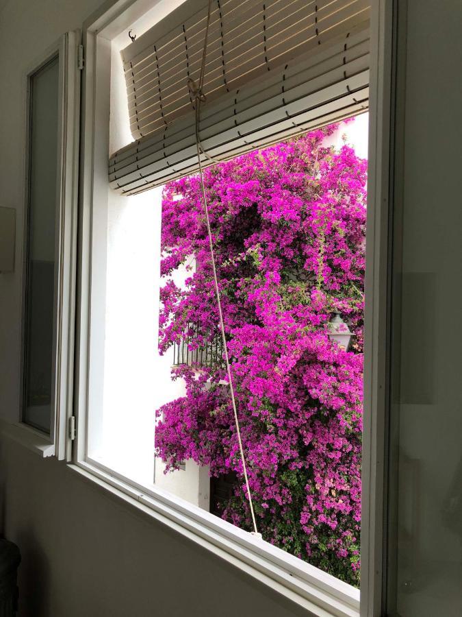 Centric Townhouse Cadaques - Casa Voltes - Villa Eksteriør billede